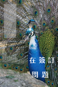 在簽訂和履行買賣合同時賣方應注意些什么問題