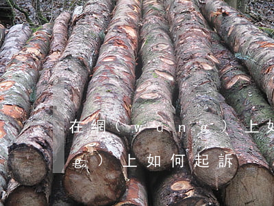 在網(wǎng)上如何起訴(在網(wǎng)上如何起訴)