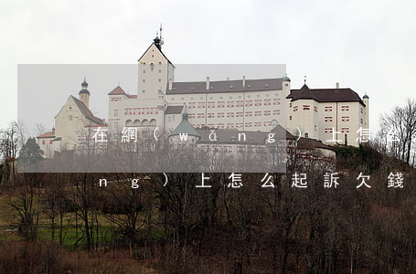 在網(wǎng)上怎么起訴欠錢(網(wǎng)上怎么起訴欠錢不還的人案由怎么寫)