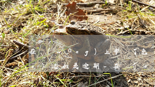 在網(wǎng)上申請了免檢標(biāo)志但是逾期-在網(wǎng)上申請了免檢標(biāo)志但是逾期了怎么辦