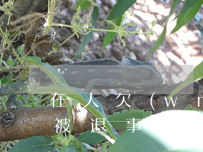 在編人員欠網(wǎng)貸會(huì)被辭退嗎(事業(yè)單位人員欠網(wǎng)貸會(huì)被開(kāi)除嗎)