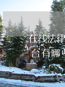 在线法律咨询平台如何推广，线上法律咨询平台有哪些