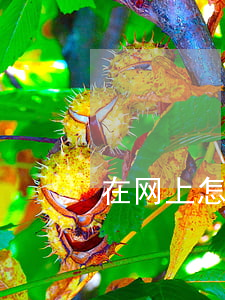在网上怎么找律师(在网上怎么找律师咨询)