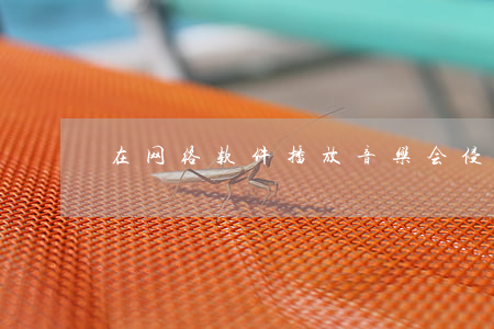 在网络软件播放音乐会侵权吗