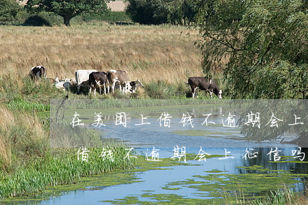 在美团上借钱不逾期会上征信吗-在美团上借钱不逾期会上征信吗知乎