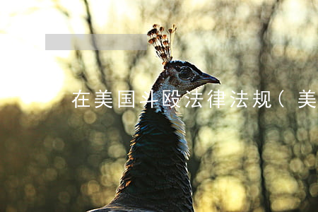 在美国斗殴法律法规(美国打架怎么判刑)