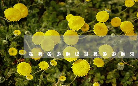 在美国逾期记录 美国逾期滞留记录如何查