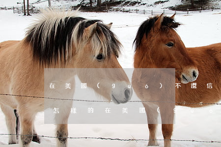 在美國(guó)不還信用卡會(huì)怎樣的(在美國(guó)欠了信用卡不還然后回國(guó)會(huì)怎樣)