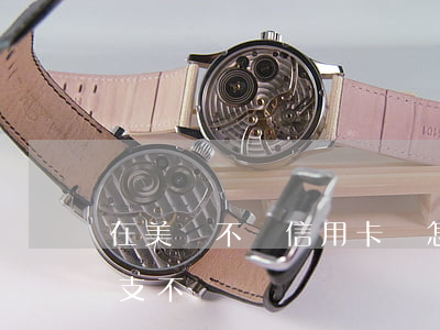 在美國不還信用卡會怎么樣(在美國信用卡透支不還)