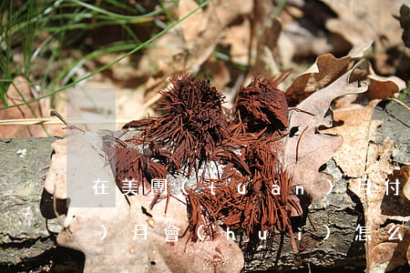 在美團(tuán)月付上逾期3個(gè)月會(huì)怎么樣-在美團(tuán)月付上逾期3個(gè)月會(huì)怎么樣呢