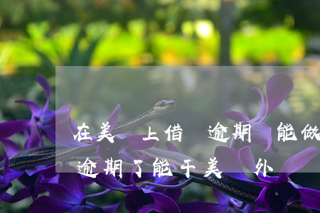 在美團上借錢逾期還能做騎手嗎-美團網貸逾期了能干美團外賣騎手嗎