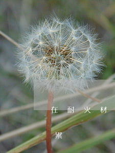 在耐火材料廠工傷怎么賠付(耐火材料廠工人累嗎)