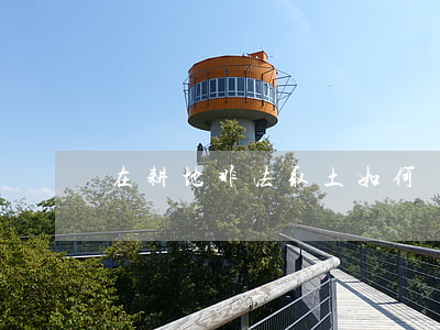 在耕地非法取土如何處罰