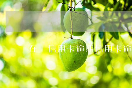 在職信用卡逾期(“信用卡逾期”)