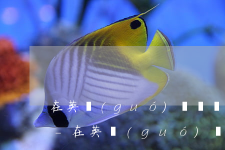 在英國(guó)簽證沒到期逾期居留后果-在英國(guó)簽證沒到期逾期居留后果怎么樣