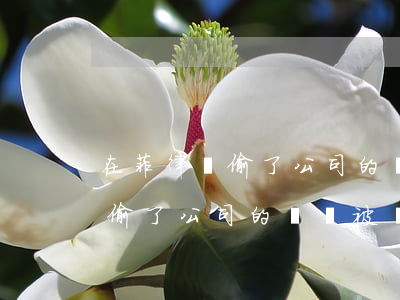 在菲律賓偷了公司的錢會被報警嗎(在菲律賓偷了公司的錢會被報警嗎)