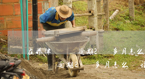 在菲律賓簽證逾期2個多月怎么辦-在菲律賓簽證逾期2個多月怎么辦理