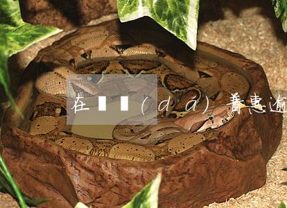 在萬達(dá)普惠逾期多久會被起訴