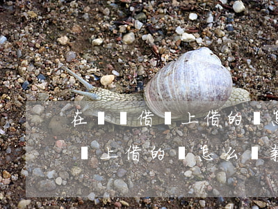 在螞蟻借唄上借的錢怎么還款嗎-在螞蟻借唄上借的錢怎么還款嗎安全嗎