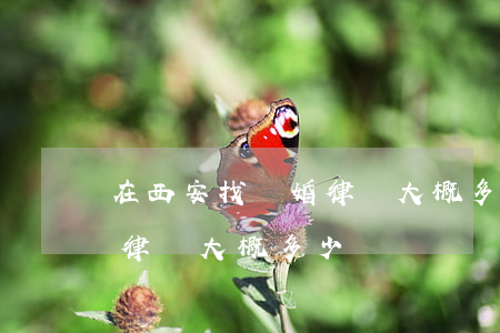 在西安找離婚律師大概多少錢(在西安找離婚律師大概多少錢)