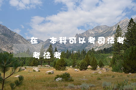 在讀本科可以考司法考試嗎(在校本科生可以考法考嗎)