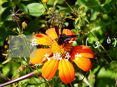 在貴陽請一個(gè)律師多少錢(找律師要錢大概多少錢)