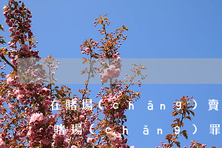 在賭場(chǎng)賣煙開設(shè)賭場(chǎng)罪共犯(開設(shè)賭場(chǎng)罪主犯)