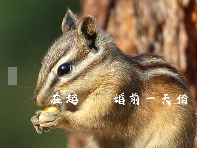 在起訴離婚前一天借錢(離婚前借對方的錢要還嗎?)