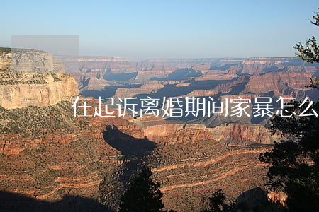 在起诉离婚期间家暴怎么办