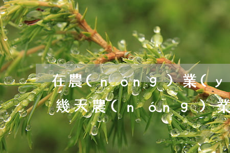 在農(nóng)業(yè)銀行貸款逾期幾天(農(nóng)業(yè)銀行貸款逾期一天影響以后貸款嗎)