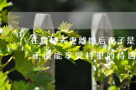 在農村夫妻離婚后妻子是否離家(夫妻離婚,妻子還能享受村里的待遇嗎)