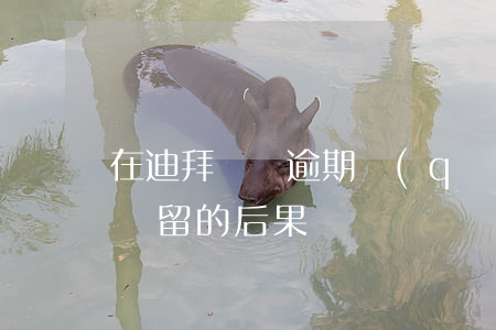 在迪拜簽證逾期驅(qū)逐出境(迪拜逾期滯留的后果)