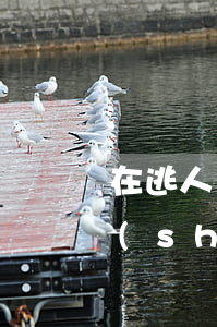 在逃人員登記信息表(在逃人員登記信息表誰(shuí)能看到)