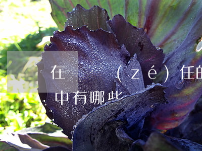 在違約責(zé)任的承擔(dān)方式中有哪些