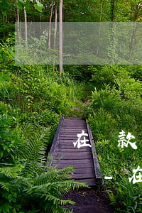 在還款結(jié)算日后兩天還款算逾期嗎-在還款結(jié)算日后兩天還款算逾期嗎怎么辦