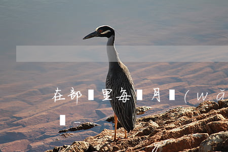 在部隊里每個月網(wǎng)貸還款怎么辦-