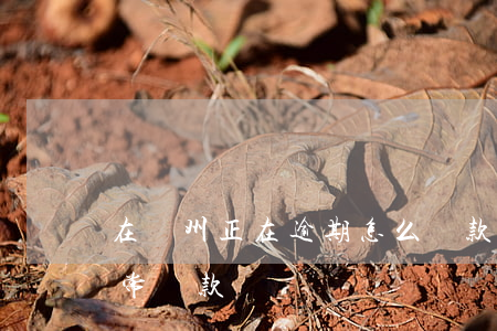 在鄭州正在逾期怎么貸款(逾期多久后才能正常貸款)