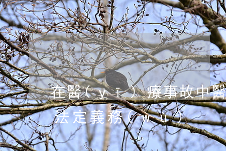在醫(yī)療事故中醫(yī)院有什么法定義務(wù)