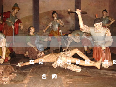 在采購中如何解決合同糾紛(在采購中如何解決合同糾紛)
