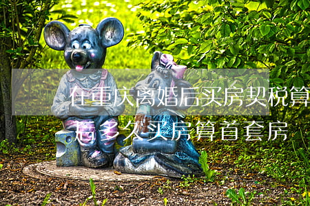 在重庆离婚后买房契税算首套房吗(重庆离婚后多久买房算首套房)