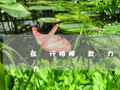 在銀行抵押貸款無力償還(在銀行抵押貸款無力償還)