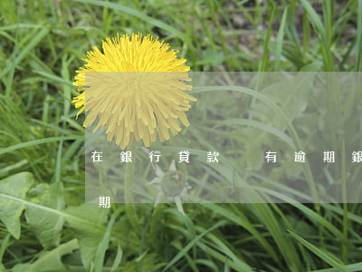 在銀行貸款沒有逾期(銀行貸款多久沒還算逾期)