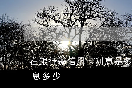 在銀行辦信用卡利息是多少(銀行卡信用卡利息多少)