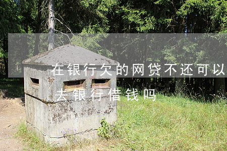 在银行欠的网贷不还可以吗(欠了网贷还可以去银行借钱吗)