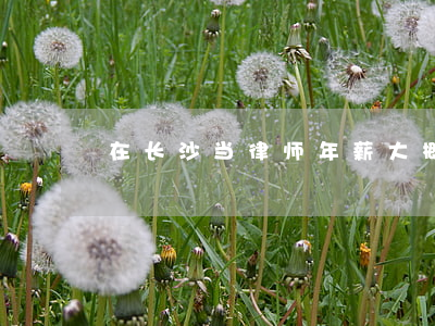 在长沙当律师年薪大概是多少(长沙律师排名)