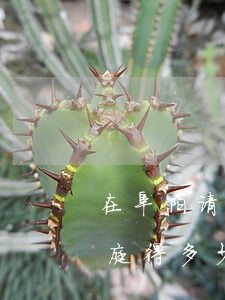 在阜阳请律师上庭得多少钱(在阜阳请律师上庭得多少钱)