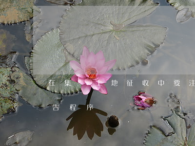 在集體土地征收中，要注意這三個(gè)公告程序
