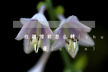 在離婚前怎么轉(zhuǎn)移財(cái)產(chǎn)