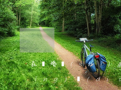 在離婚時(shí)我可以向法院申請(qǐng)調(diào)查嗎(個(gè)人怎么向法院申請(qǐng)離婚)