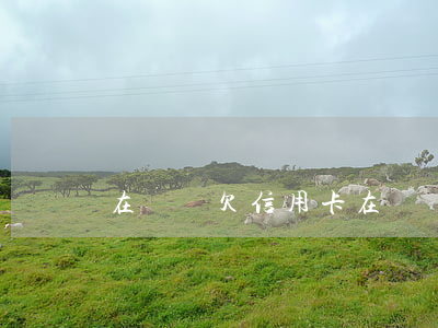 在韓國欠信用卡 在韓國欠錢不還怎么辦